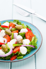 Vegetable salad with cheese mozzarella, tomatoes, basilikum and spice.