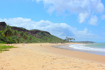 Fototapeta na wymiar Sunny day at Coqueirinho Beach