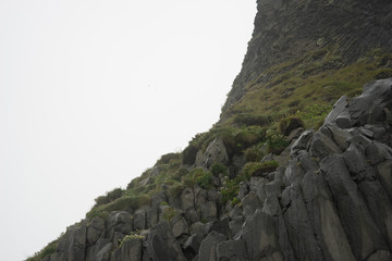 Felsformationen in Süd-Island: Berg Reynisfjall mit Papageitauchern am schwarzen Lavastrand