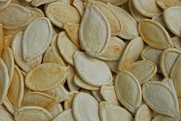 white natural plant texture from pumpkin seeds
