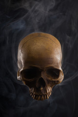 skull on black background