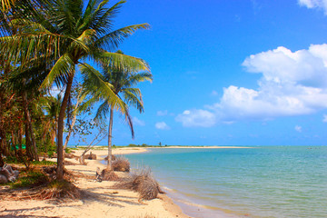 Coroa do Avião Island, Ilha de Itamaracá, Pernambuco, Brazil