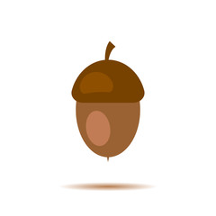 Acorn, oak nut, seed. Made in cartoon flat style. Vector illustration