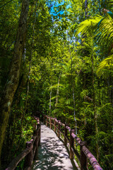 Fototapeta premium Emerald Pool, Yosemite National Park, Krabi, Thailand, Wooden pa