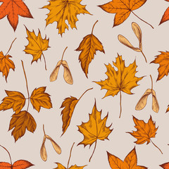 Vector seamless pattern of autumn pattern. Hand drawn vector illustration