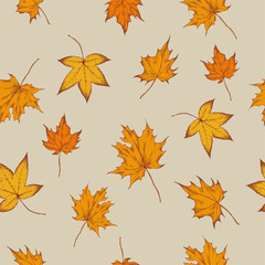 Vector seamless pattern of autumn pattern. Hand drawn vector illustration