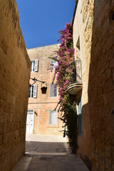 Rue de Mdina Malte (malta)