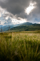 Hiking in Rodnei