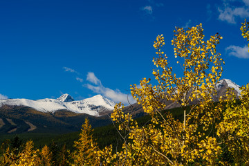 Spectacular fall scenery in Kananaskis Country, Alberta, Canada.
