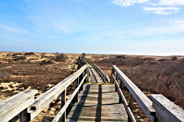 Fototapeta na wymiar Safe walk over the Sand Dunes. This wooden walk way to the Atlantic Ocean was constructed to protect the sand dunes t plum Island Massachusetts USA 