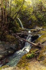 Waterfall, New Zealand, Falling, Mystery, Nature