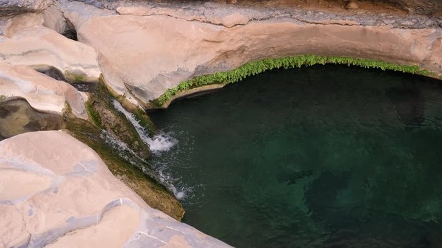 Tranquil oasis landscape scene in the countryside of the Sultanate of Oman.