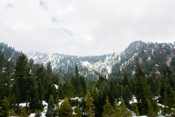 mountains in winter