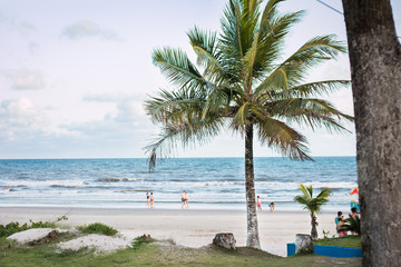 Praia e Coco