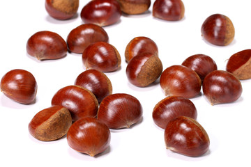 栗の実
