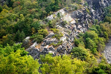 Fototapeta na wymiar Point of Gap Overlook, Delaware Water Gap, Pennsylvania, USA: Trees and shrubs growing out of crevices in the sedimentary rock on Mt. Minsi.