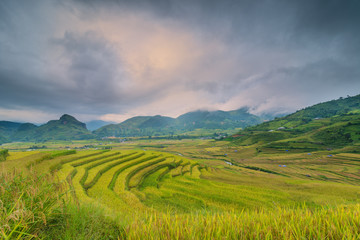 Fototapeta na wymiar Mu Cang Chai terraces rice field in harvest season