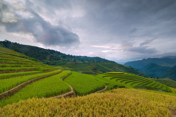 Mu Cang Chai terraces rice fields in harvest season