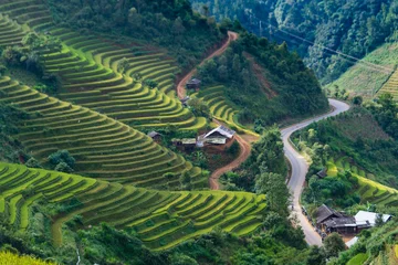 Abwaschbare Fototapete Reisfelder Mu Cang Chai terraces rice fields in harvest season