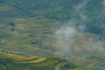 Mu Cang Chai terraces rice fields in harvest season