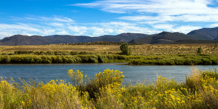 The Green River passes autumn grasses, yellow-flowering Chamisa, wetlands, and mountains in Browns Park National Wildlife Refuge in northwestern Colorado