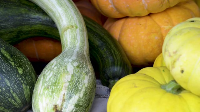 Zucchini and squash for sale at the free market, panoramic plan