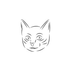 Fototapeta na wymiar cat logo icon design template vector