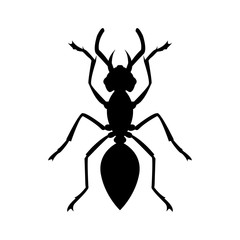 ant logo icon design template vector