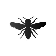 bee logo icon design template vector