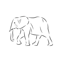 elephant logo icon design template vector