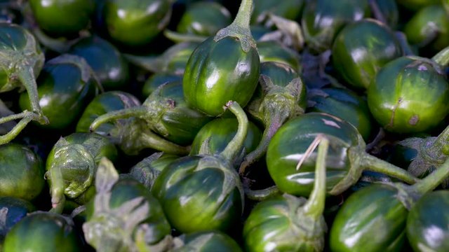 Scarlet eggplant hi-res stock photography and images - Alamy