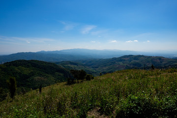 Beautiful nature in Chiang Rai, Thailand.