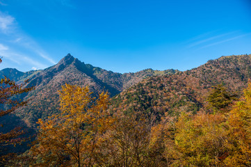 紅葉の石鎚山