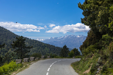 Fototapeta premium Castagniccia region, Corse