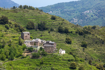 Fototapeta na wymiar Castagniccia region, Corse