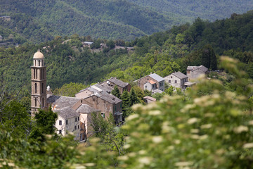 Fototapeta na wymiar Castagniccia region, Corse
