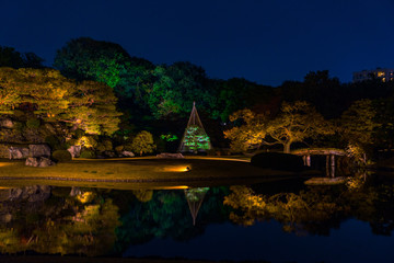 reflection of trees in water