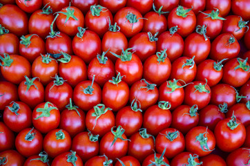 small red tomatoes with green branches