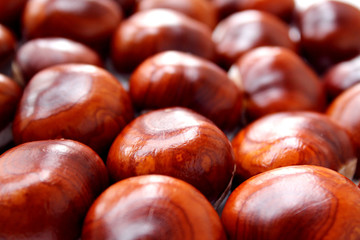 chestnut brown color