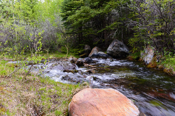 fast flowing stream in the forest
