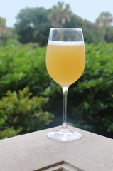 Glass of NEIPA, a tropical juicy New England IPA, with tropical palm tree