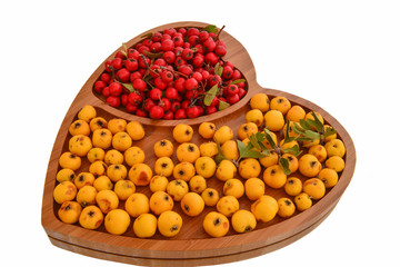 Crataegus tanacetifolia (latin) yellow hawthorn fruit and cranberry fruit