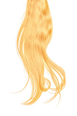 Blond (gold) hair isolated on white background. Long disheveled ponytail