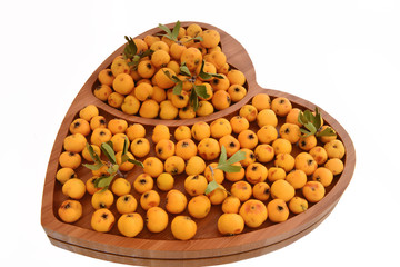 Crataegus tanacetifolia (latin) fruit of yellow hawthorn