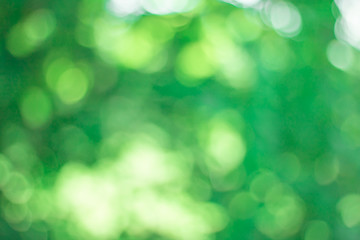 Obraz premium Bokeh of Tree Leaves for nature background and save green concept,soft and blur out of focus, made with gradient and filter colored.