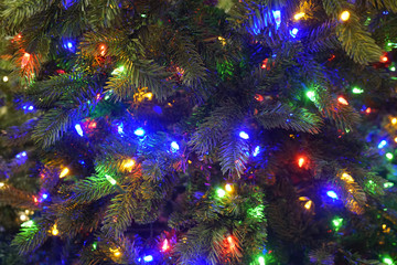Close up on Christmas tree with colorful light