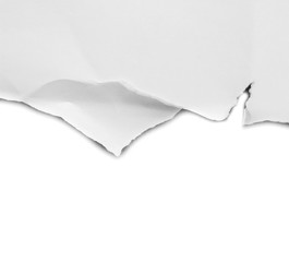 paper tear isolated on white background, copy space.