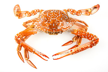 steamed crab