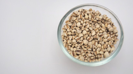 Job's Tears, also known as adlay and coix on white background. Popular in Asian cultures as a food source.