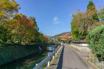 The road to Kinrin Lake with Mount Yufu in Background and blue sky with clouds in autumn. onsen town, Yufuin, Oita, Kyushu, Japan